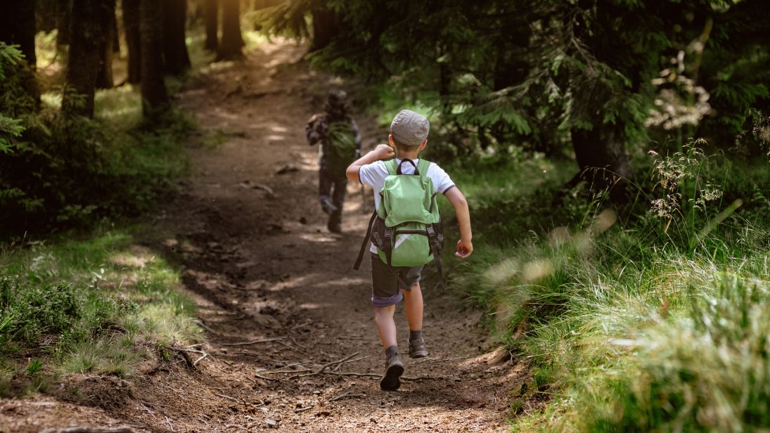 Auf Erlebnispfaden gibt es einiges zu entdecken. © Denys Kurbatov/Adobe Stock